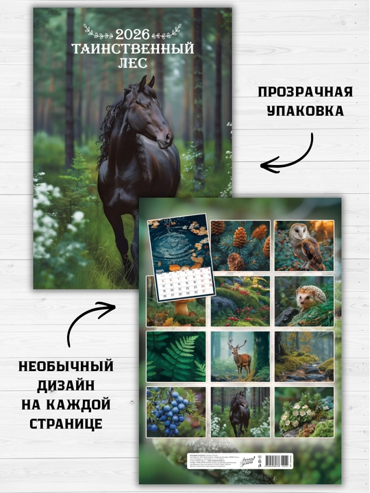 2026 yil uchun rigelega o‘rnatilgan devor taqvimi, 340×480 mm, 6 varaq