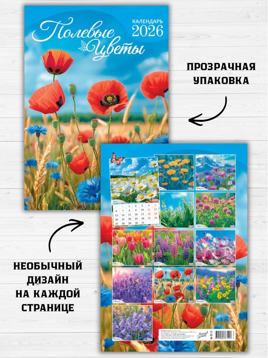 2026 yil uchun rigelega o‘rnatilgan devor taqvimi, 340×480 mm, 6 varaq