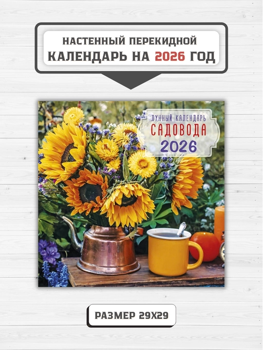 Настенный перекидной календарь 2026, 29×29, с мотивационными фразами, яркий дизайн - 