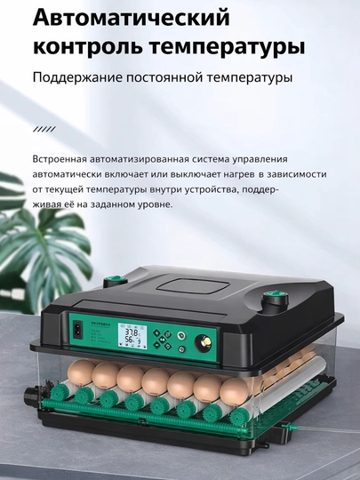 Avtomat inkubator 12/24/36/64/128 tuxum uchun 12V 220V tovuq tuxumi inkubatori 4