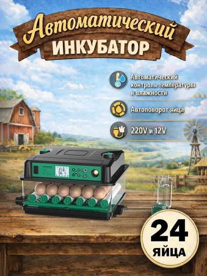 ЗЕЛЕН
