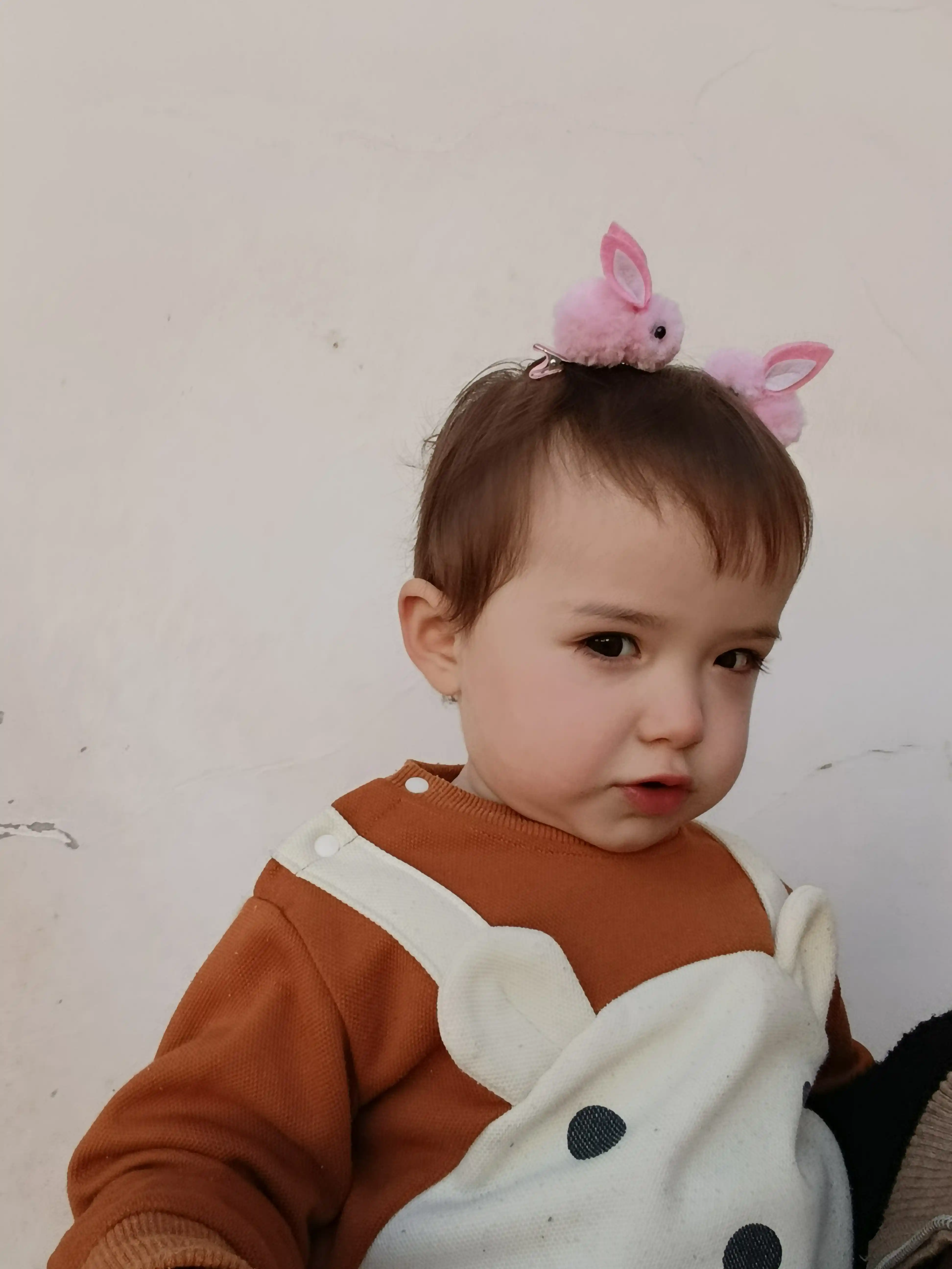 Yoqimli quyon shaklidagi soch qisqich. Turmaklar uchun ishonchli aksesuar,to'plamda 2 dona