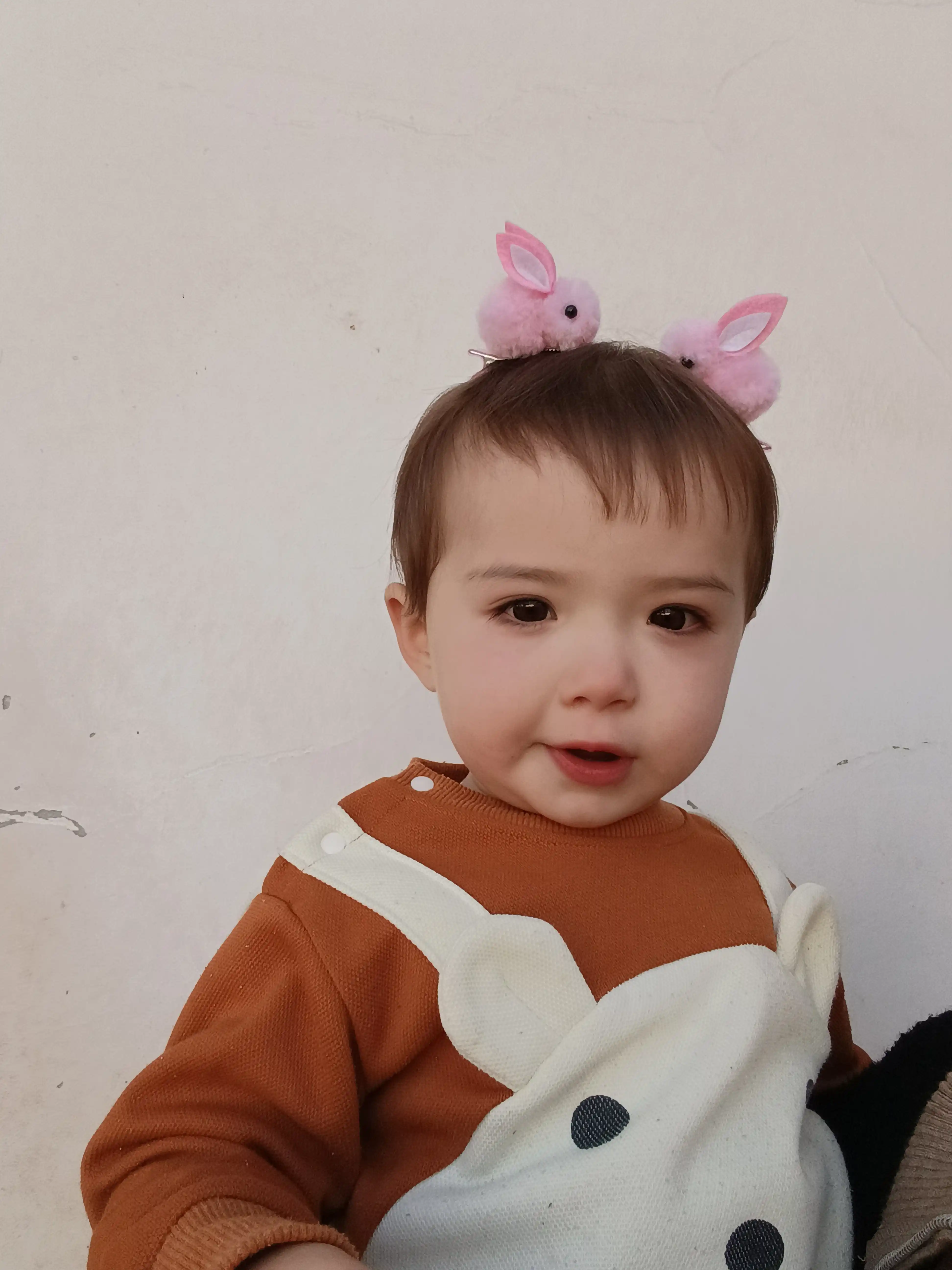 Yoqimli quyon shaklidagi soch qisqich. Turmaklar uchun ishonchli aksesuar,to'plamda 2 dona