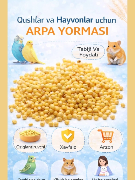 Jo‘jalar uchun Psheno – Sifatli, Toza va Oson Hazm Bo‘ladigan Yem - 