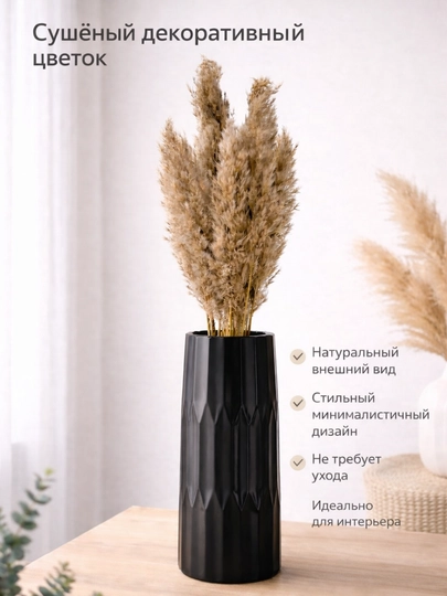 Натуральные сухоцветы декоративные