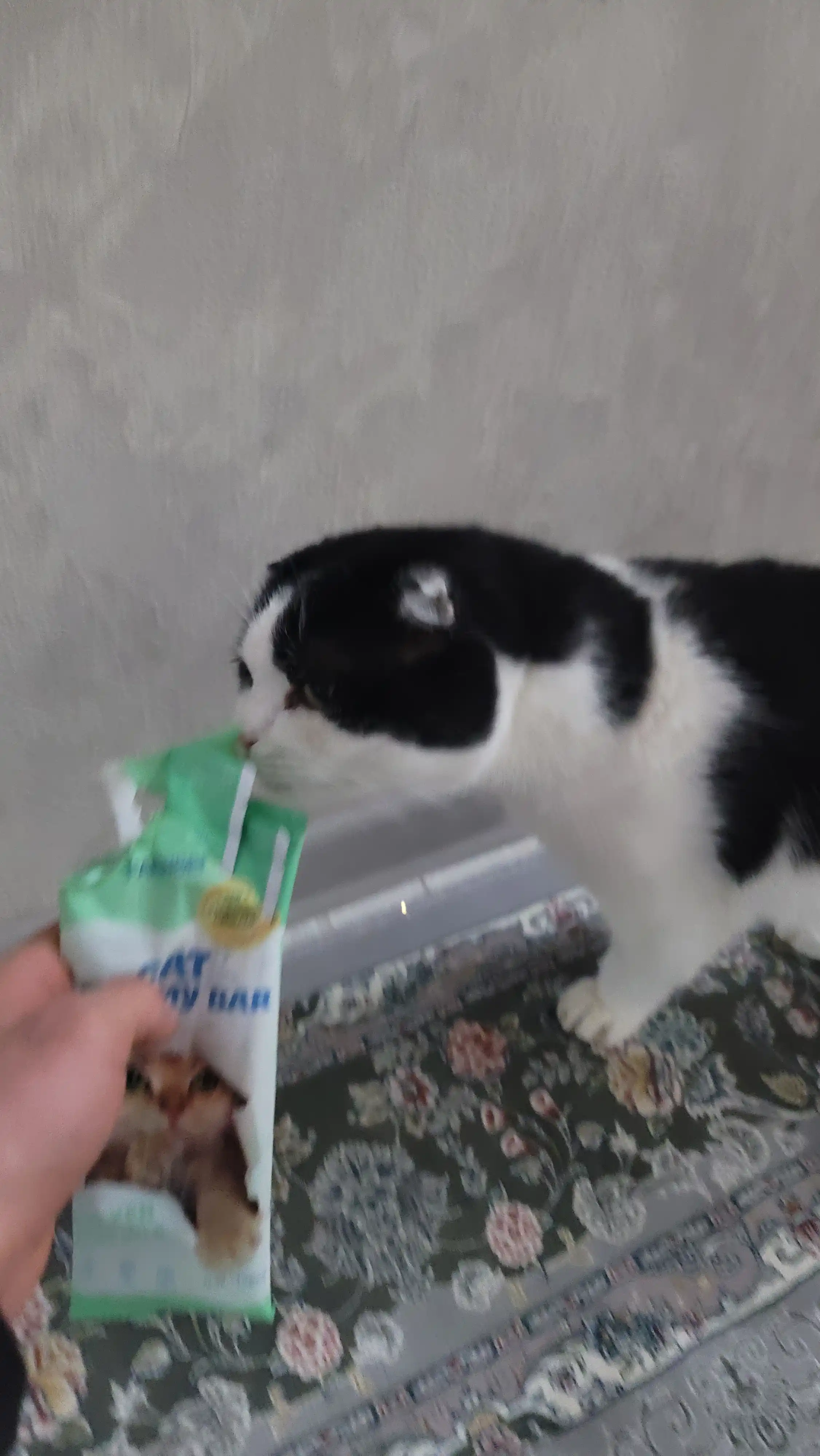 Крем лакомство для кошек Faenbei Cat Creamy Bar, с курицей и козьим молоком