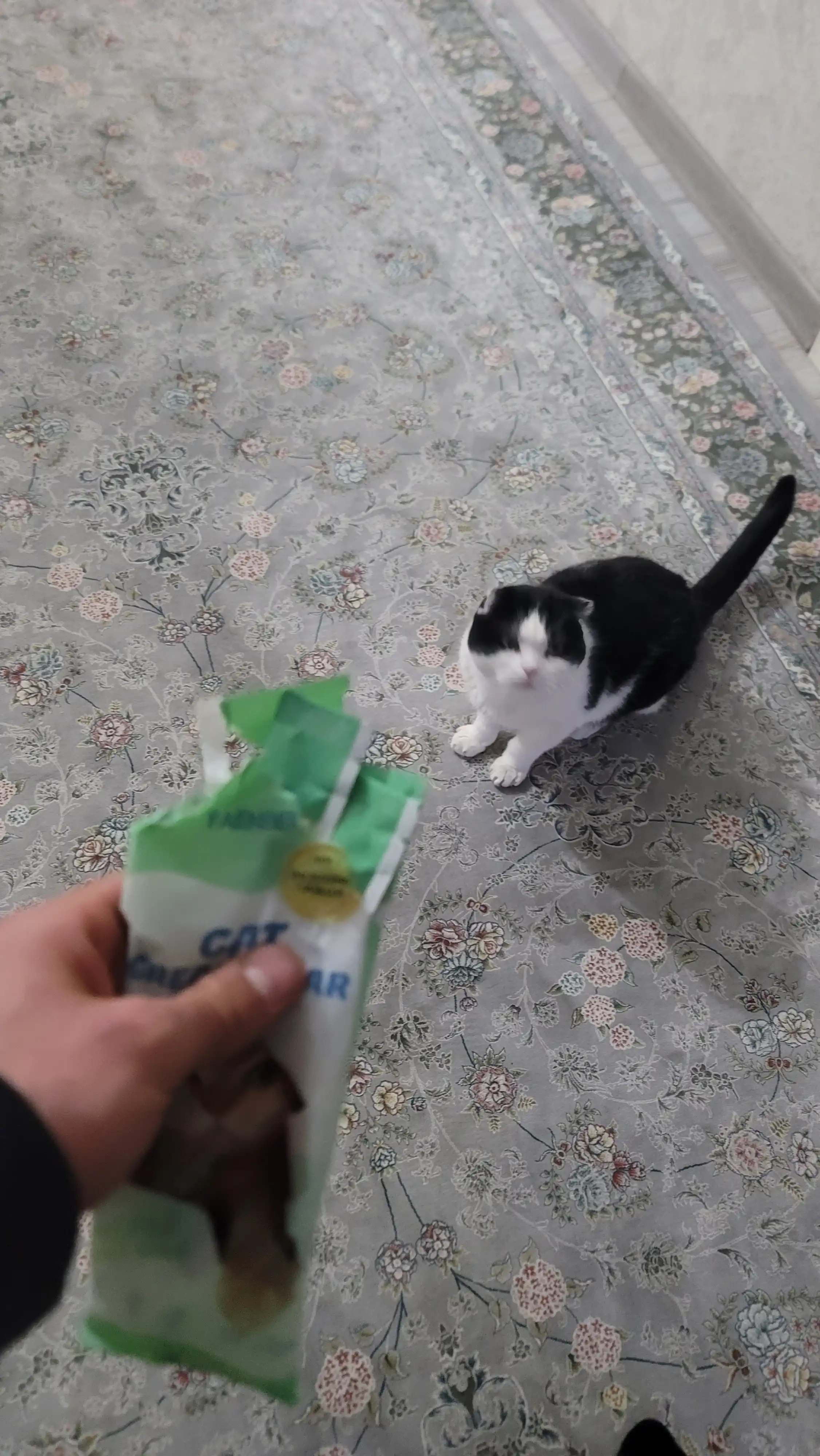 Крем лакомство для кошек Faenbei Cat Creamy Bar, с курицей и козьим молоком