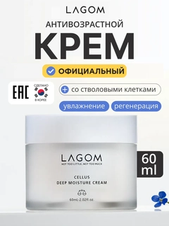 Ледяной
