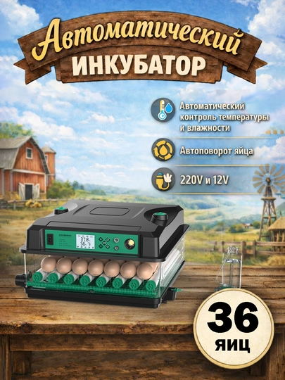 СИНИЙ