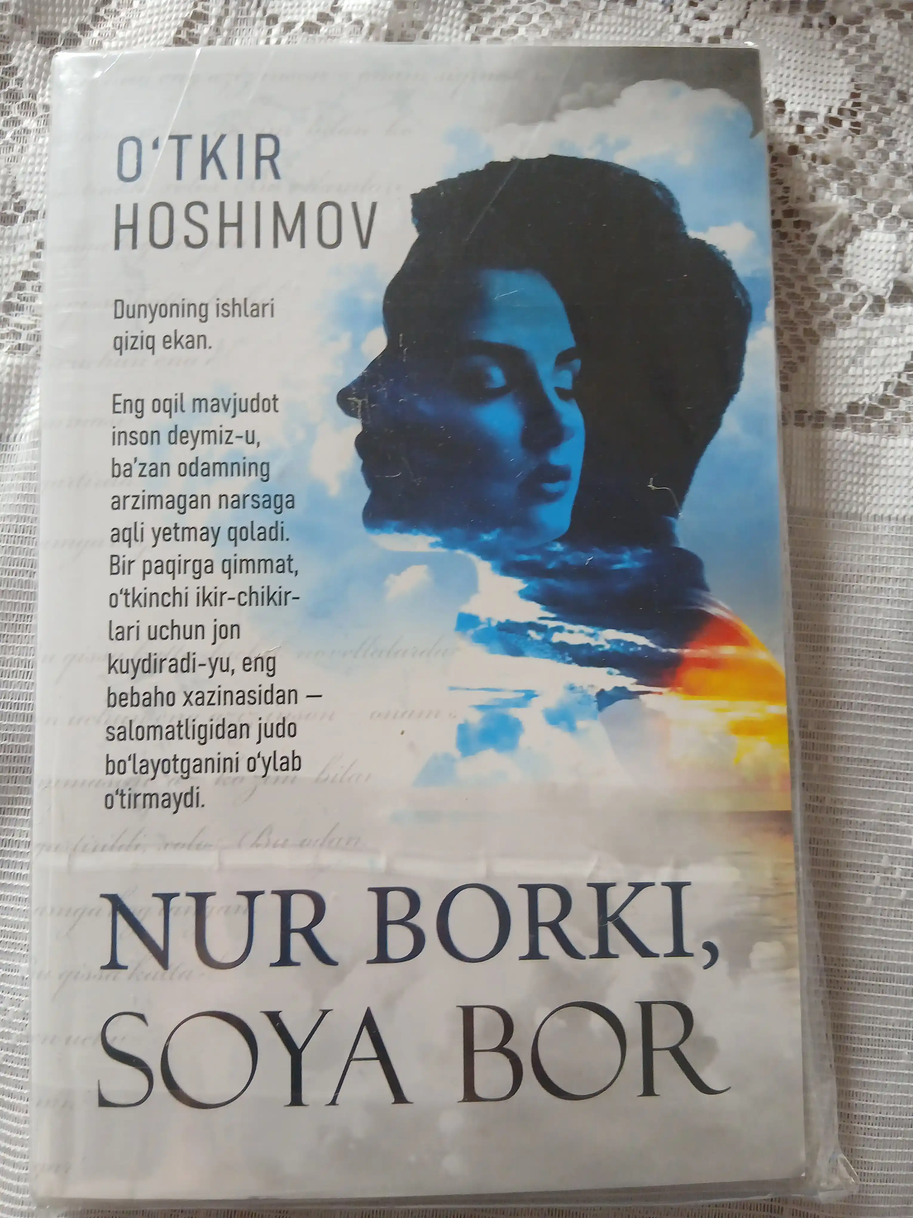 Нур борки, соyа бор