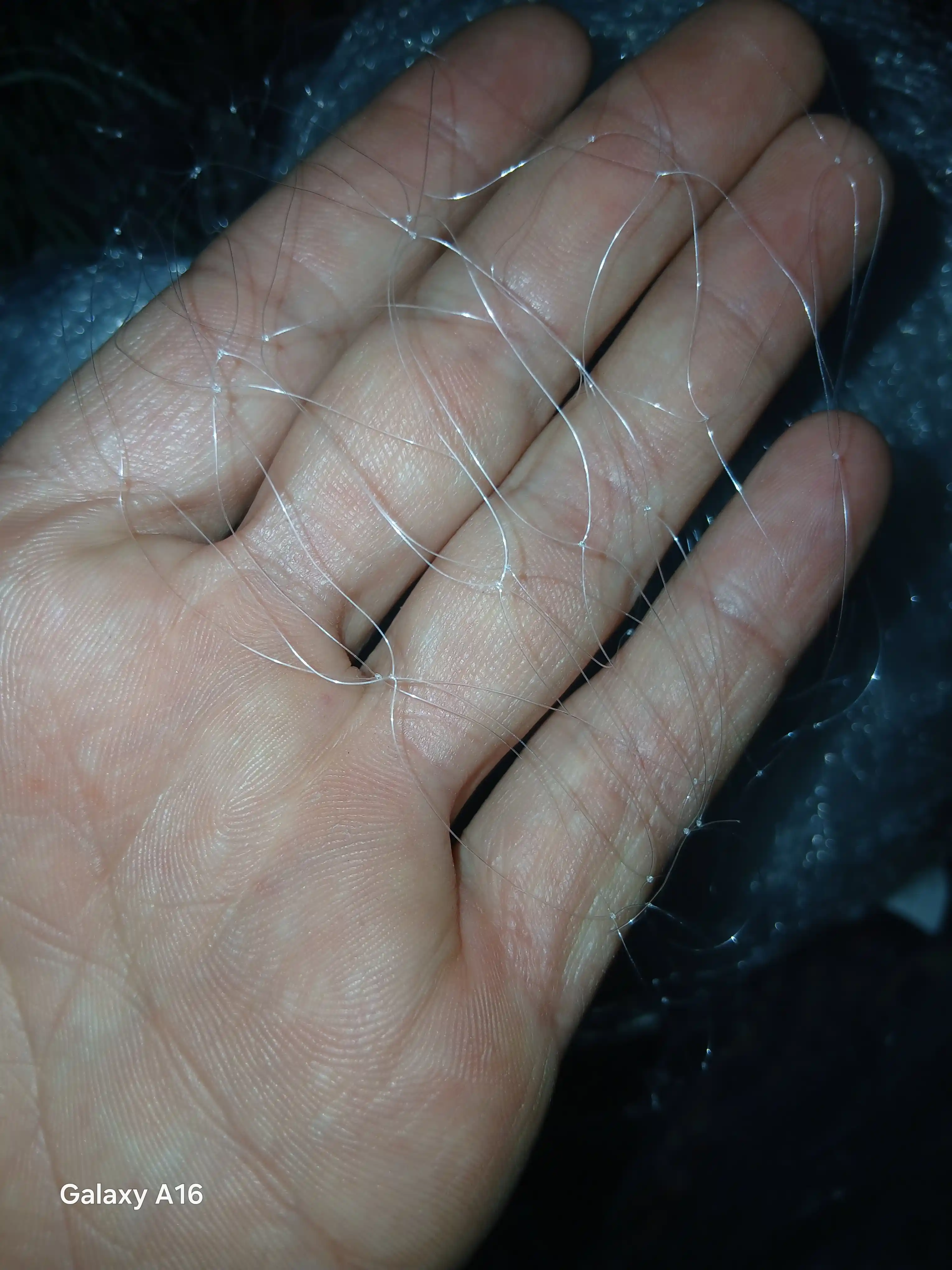 Baliq ovlash to‘ri, leskali, 2 m × 80 m va 3 m × 80 m