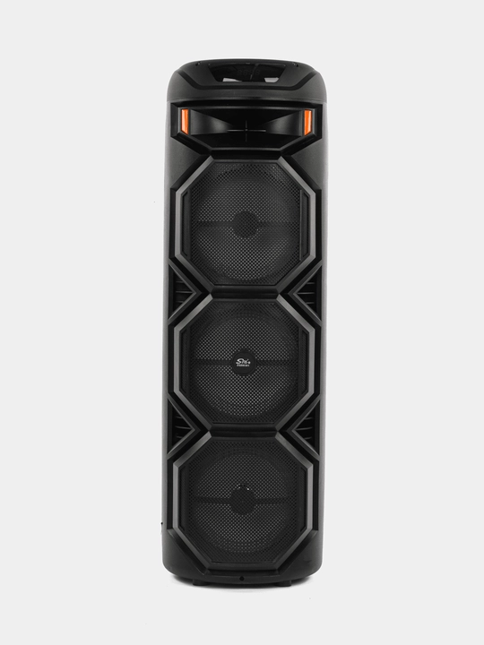 Karaoke va RGB yoritgichli Sing-E portativ Bluetooth karnay - kuchli tovush