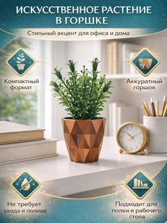 Mis rang