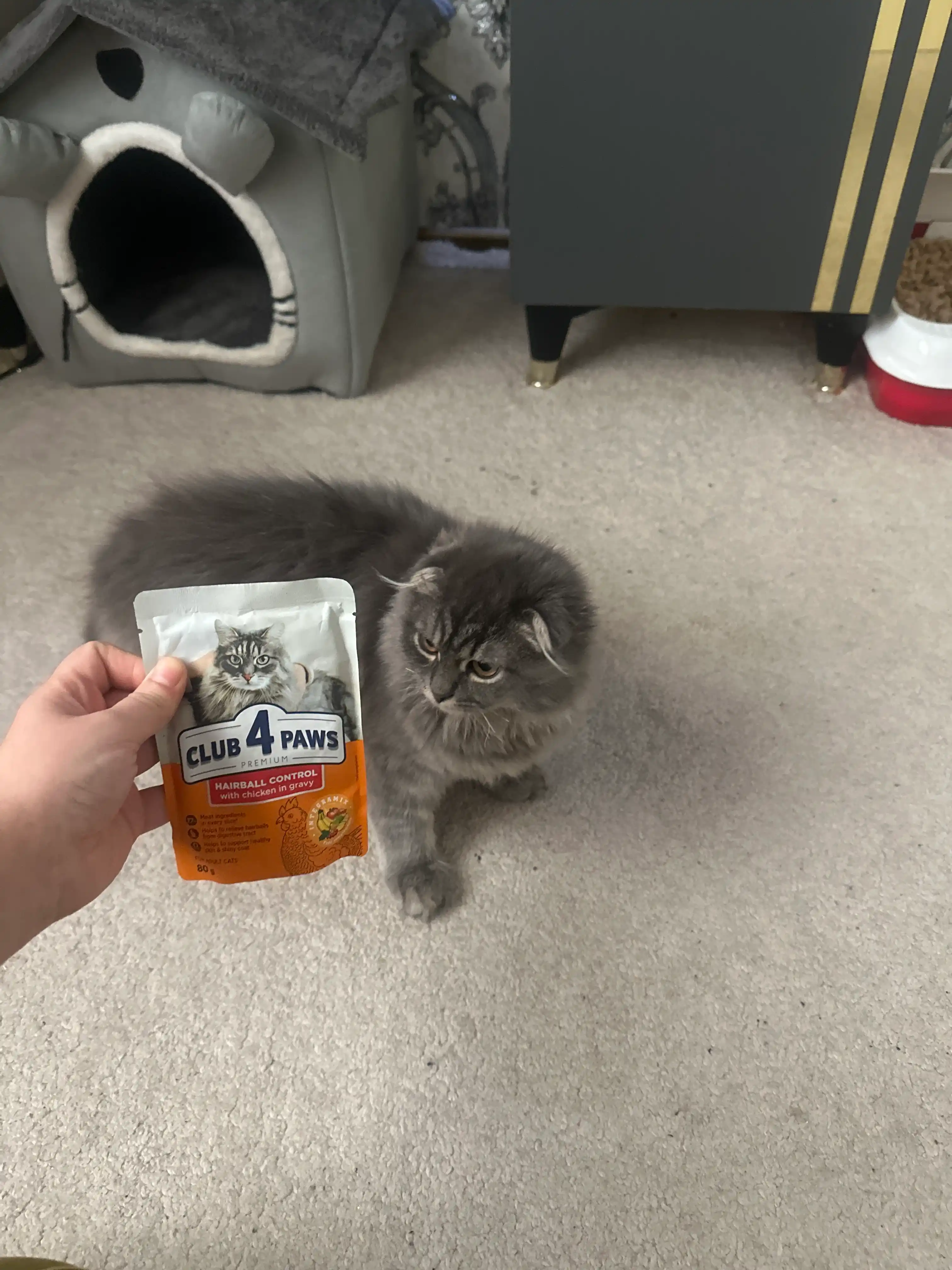 Club 4 Paws Hairball Control влажный корм для кошек, с курицей, 80 г 5 шт