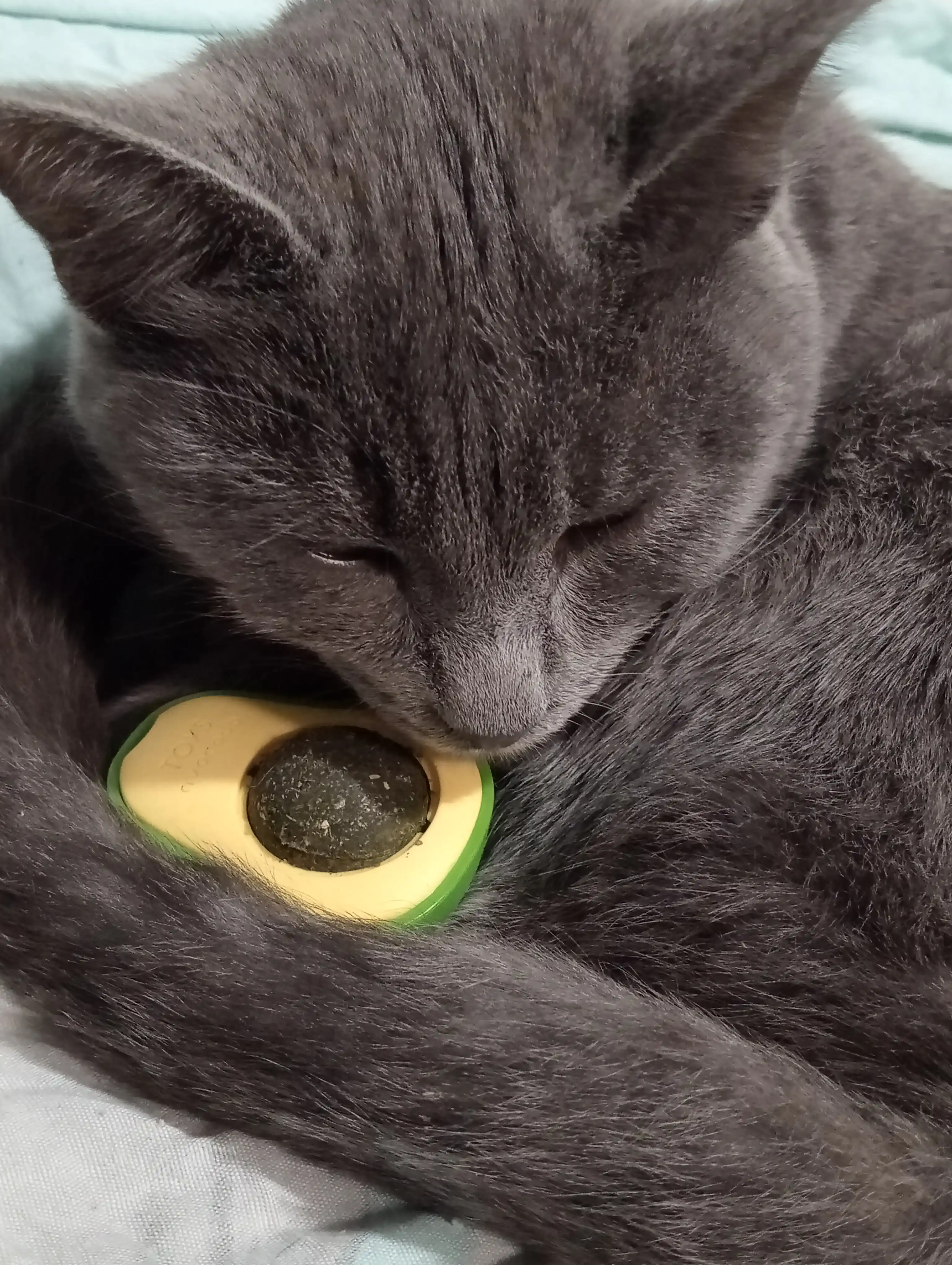 Шарик с кошачьей мятой на липучке, игрушка лизун для кошек