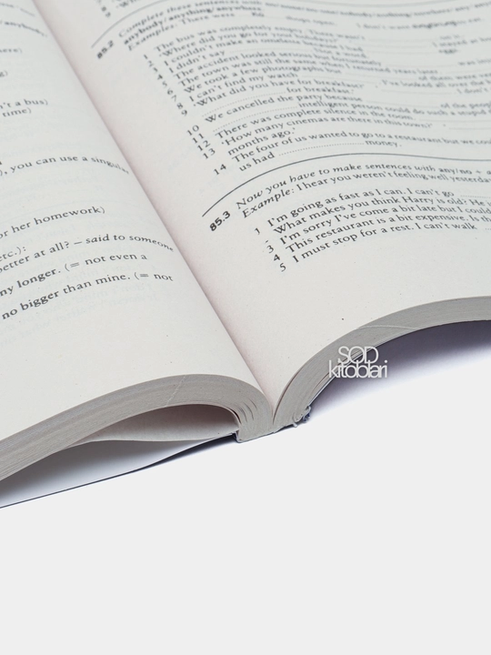 Raymond Murphy, Essential Grammar in Use / English Grammar in Use
