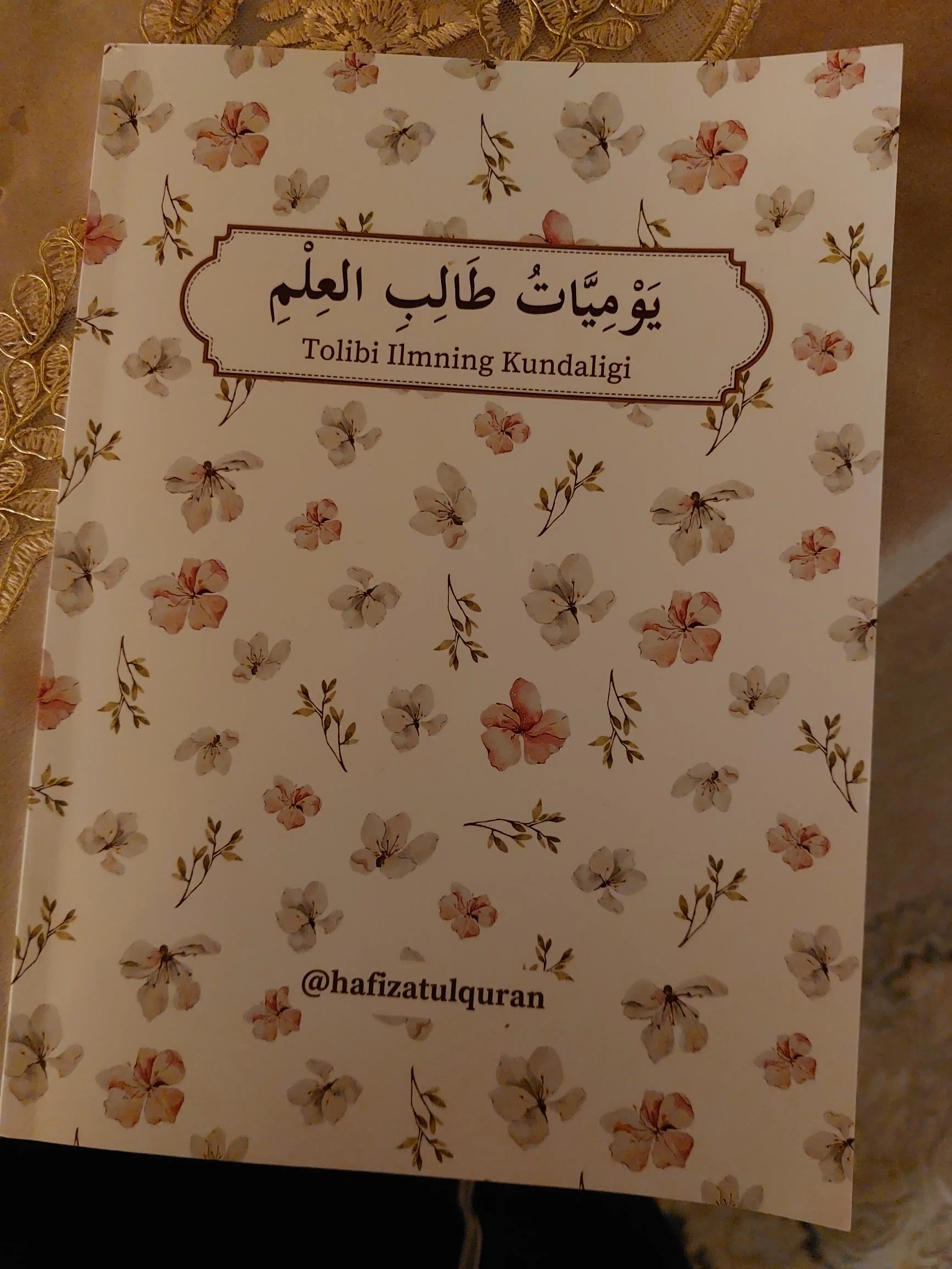 Tolibi ilmning kundaligi