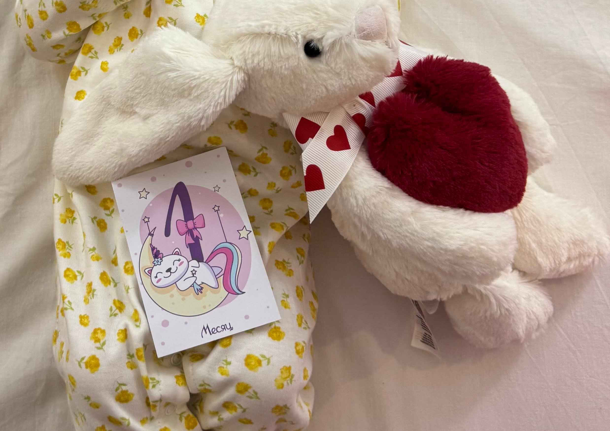 Oylar bo’yicha yangi tug’ilgan chaqaloqlarni fotosessiya qilish uchun kartochkalar