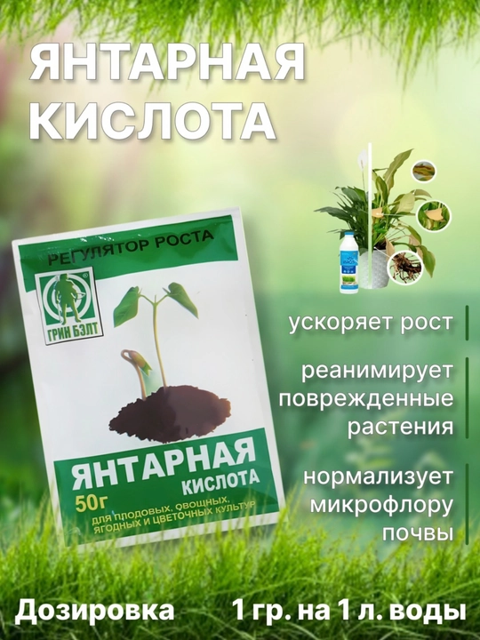 Янтарная кислота — регулятор роста растений, 50 г - 