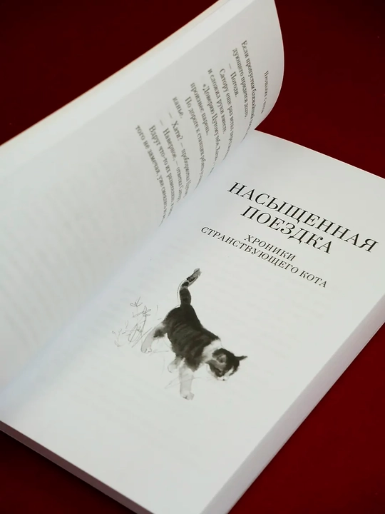 Proshaniе s kotom, Arikava Xiro
