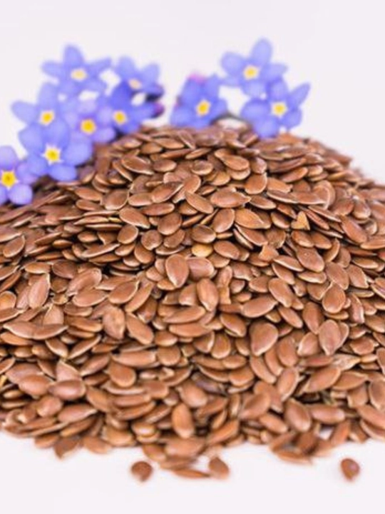 Семена льна, Flax seeds 500 gr, 200 gr