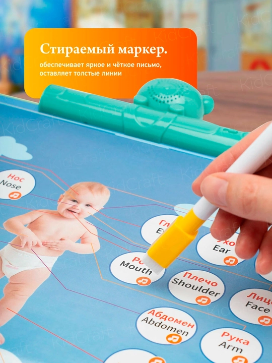 Интерактивные обучающие плакаты и говорящие книги для детей развивающий набор с звуками