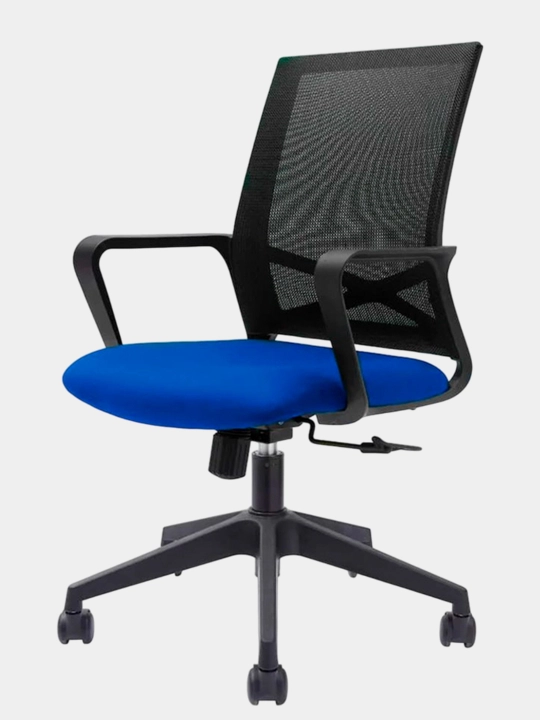 Frumos Oliver bolalar kompyuter kreslosi, ergonomik, 200 kg gacha, balandligi sozlanadi