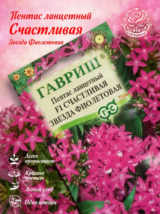 Семена Пентас ланцетный Счастливая звезда, фиолетовая F1, 3 шт, 1071860700