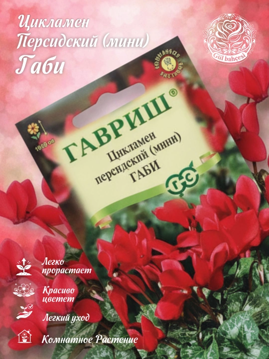 Fors Gabining siklamen urug'lari, 3 dona, Gavrish 002490