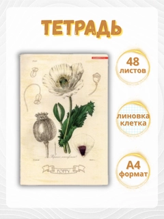 Бежевый