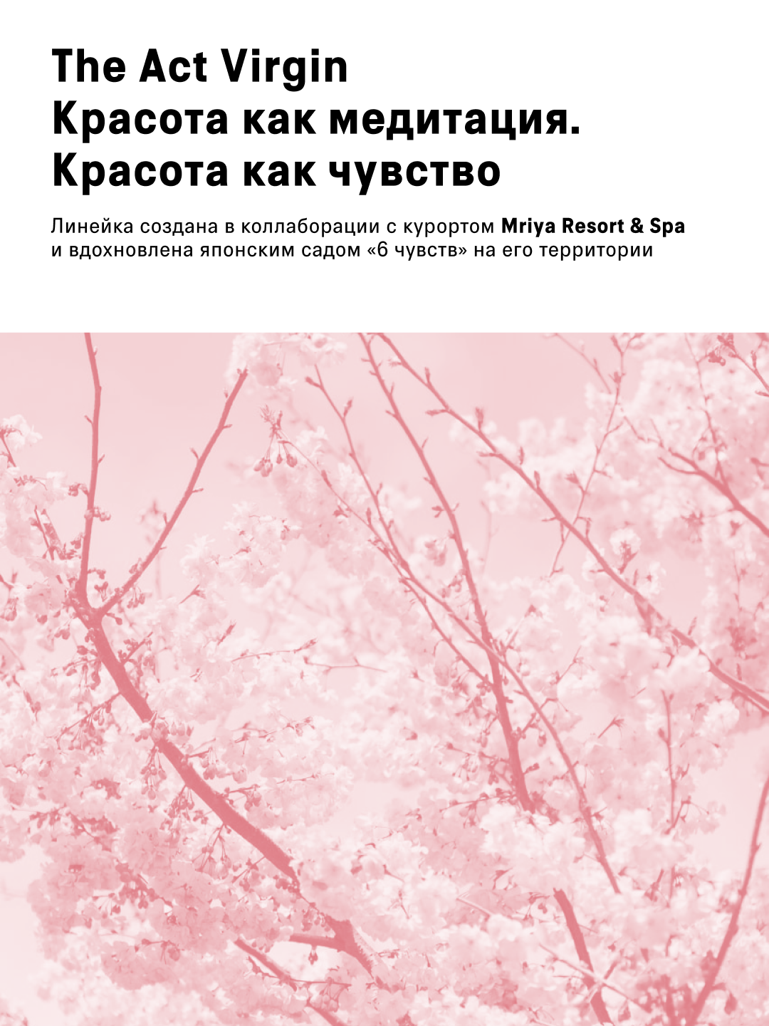 The act Молочко и масло для массажа, смягчающий лосьон, парфюмированный кокос для тела