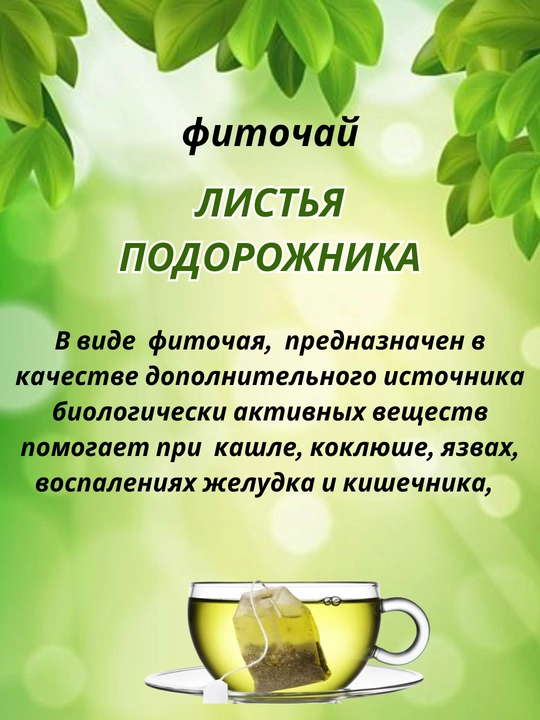 Katta zubturum barglari 2 g, №20 dona