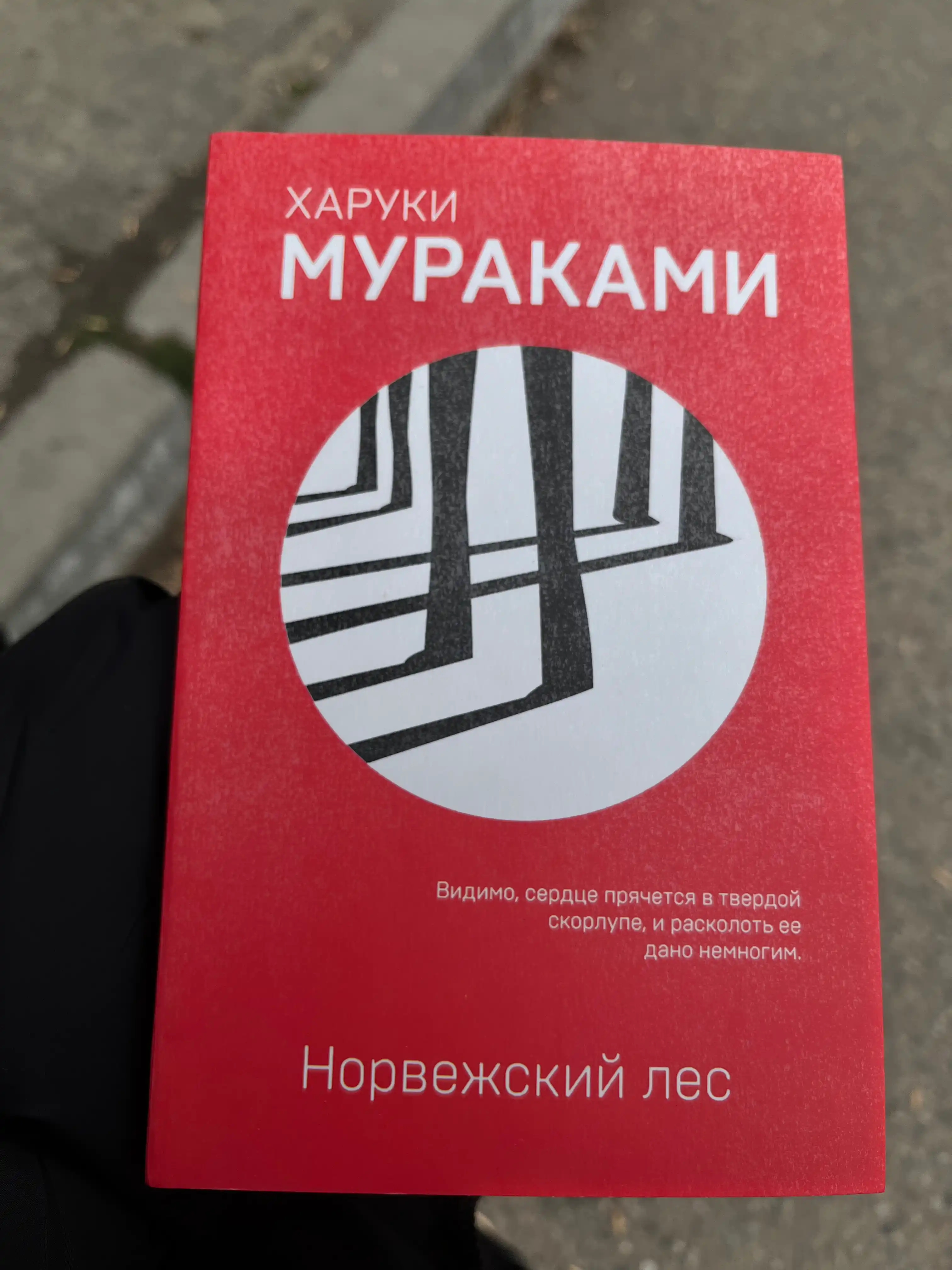 Xaruki Murakami, Norvejskiy les