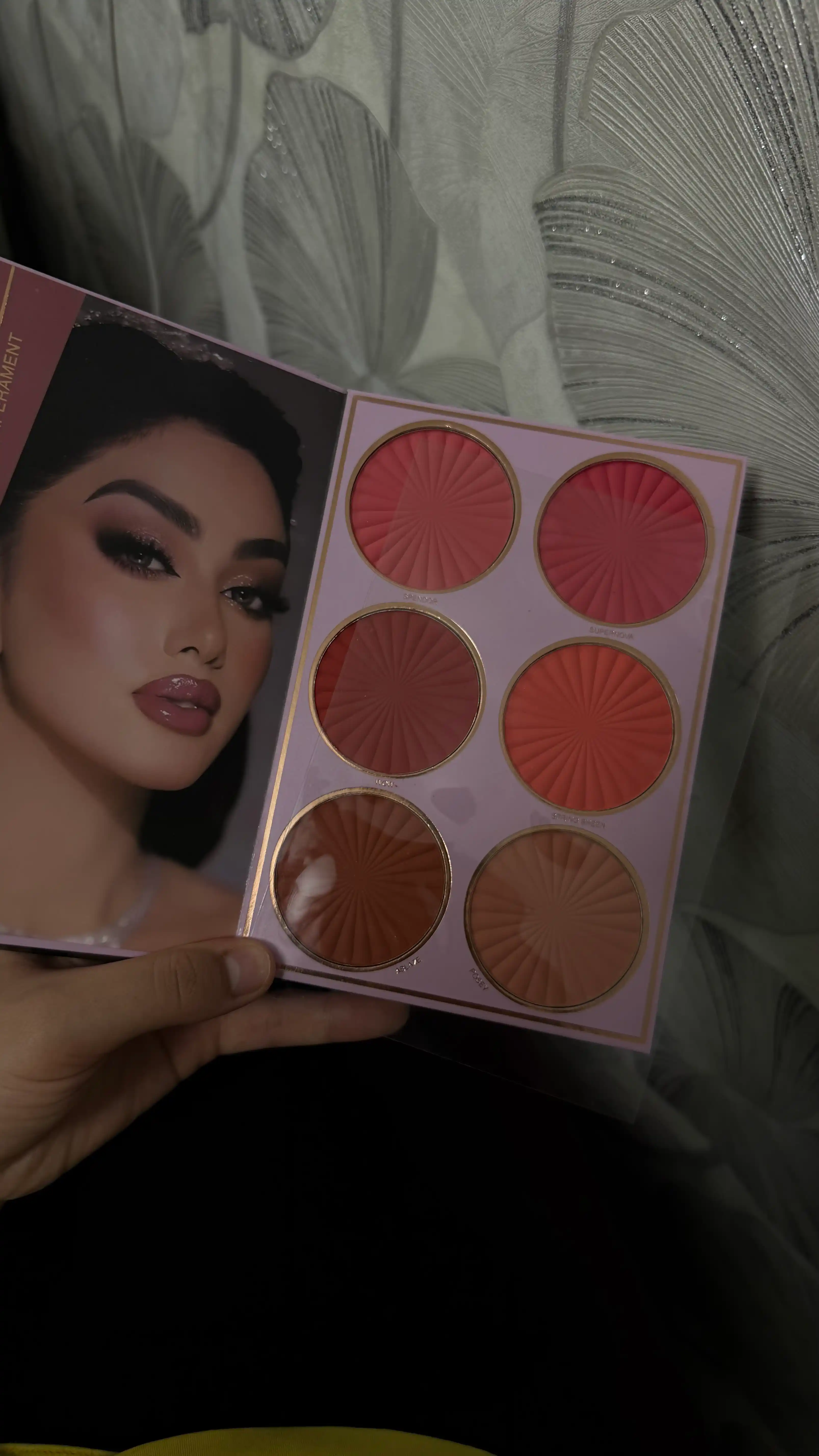 Kitob shaklidagi ten ko'zoynak palitrasi, qizarish, yashiruvchi, Moccoallure 79 xil rang