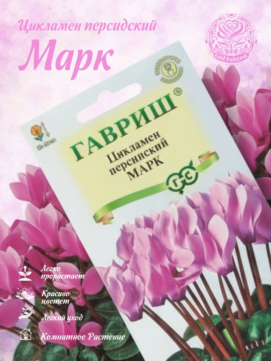 Eron siklameni urug‘i Mark, 3 dona