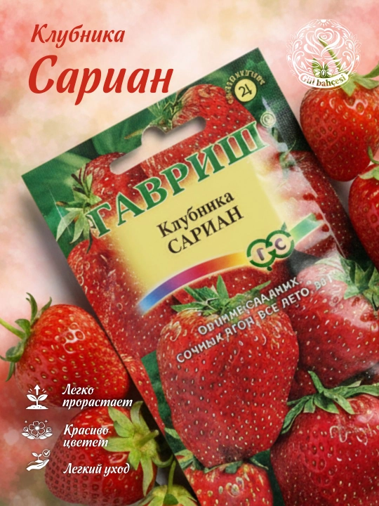 Семена клубники "Гавриш",  F1, 4 шт 