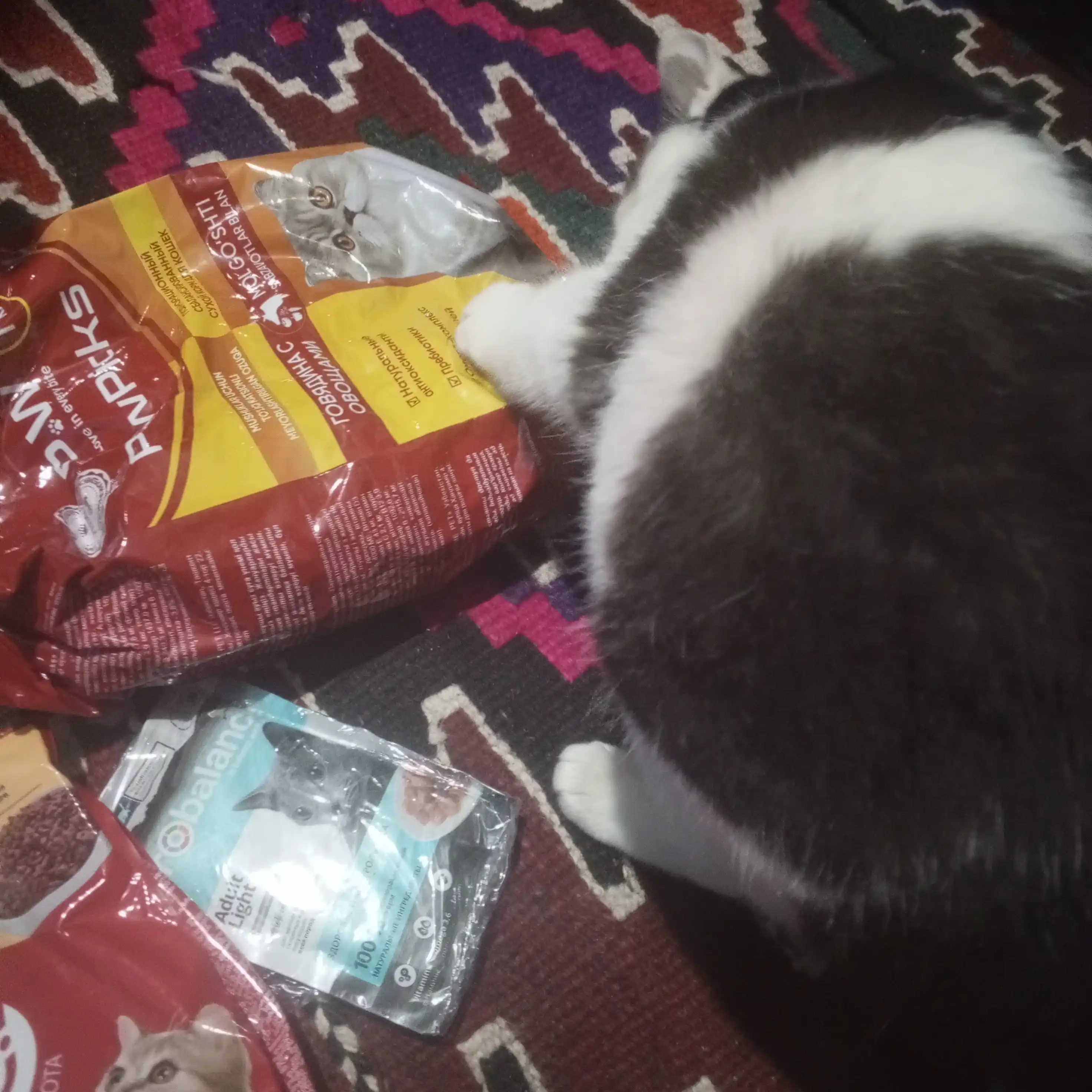Myaу mushuklar uchun quruq yem, go‘sht bilan, 300 g