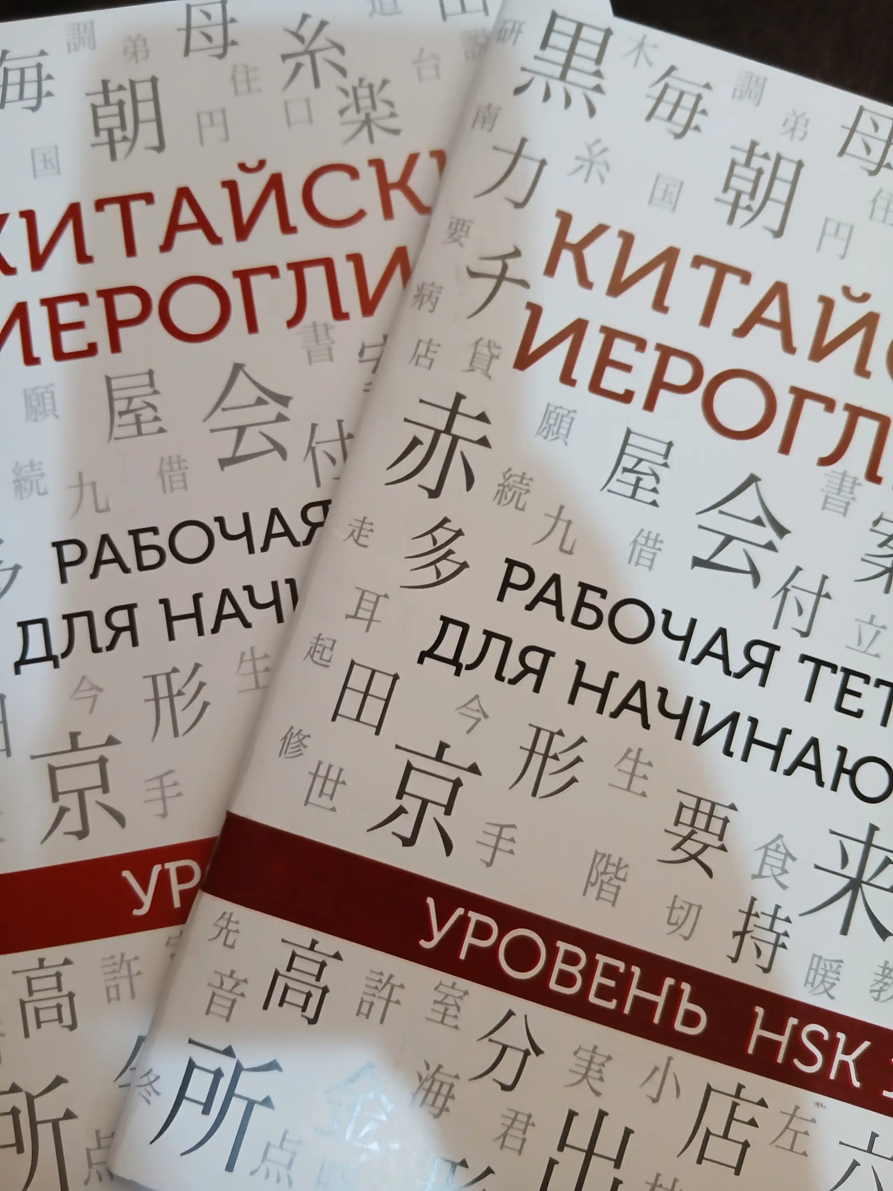 Китайские иероглифы, рабочая тетрадь для начинающих, уровни HSK 1-2, 3-4