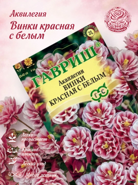 Семена Аквилегия Винки красная с белым, 5 шт, Гавриш, элитная клумба