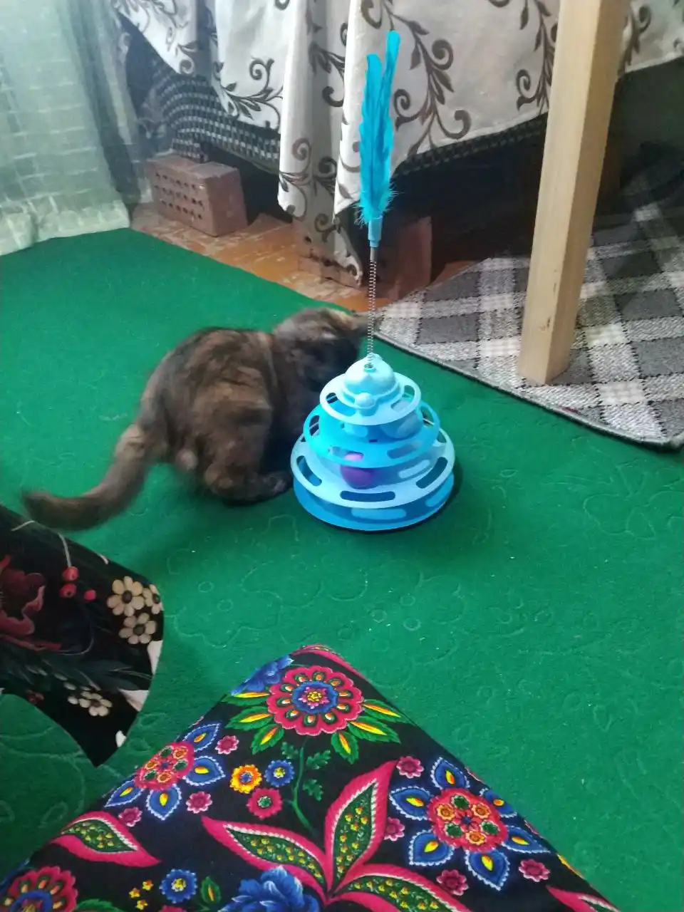 Игрушка для кота