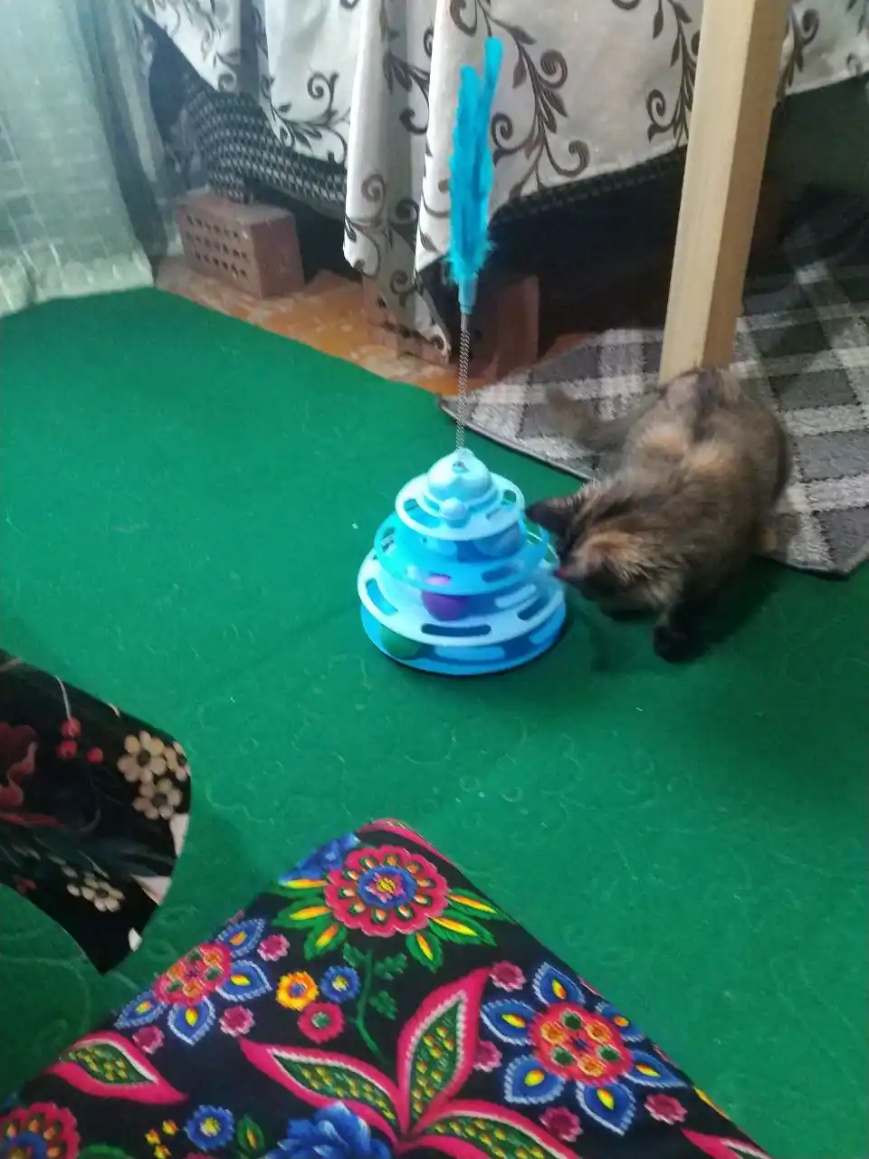 Игрушка для кота