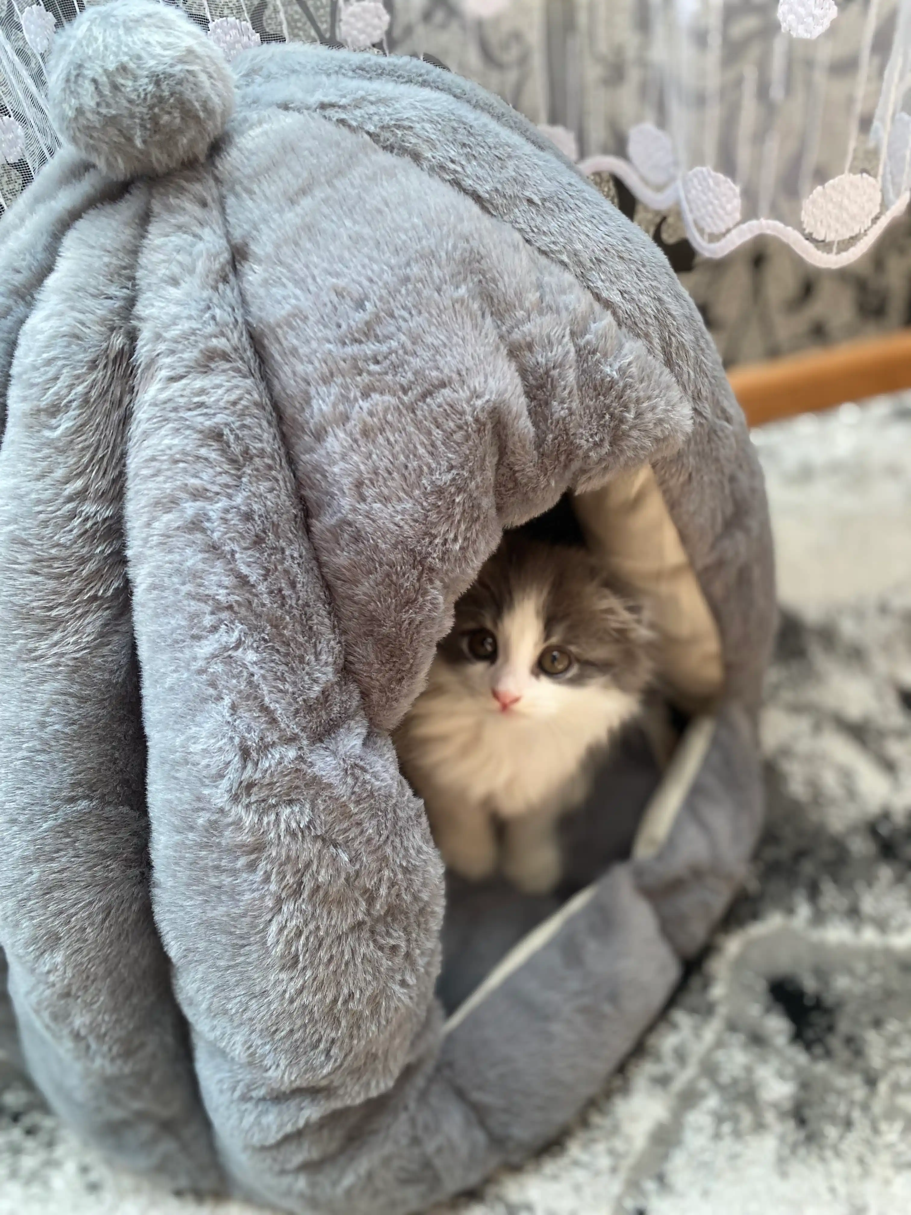 Дезодорант-шарики для кошачьего туалета