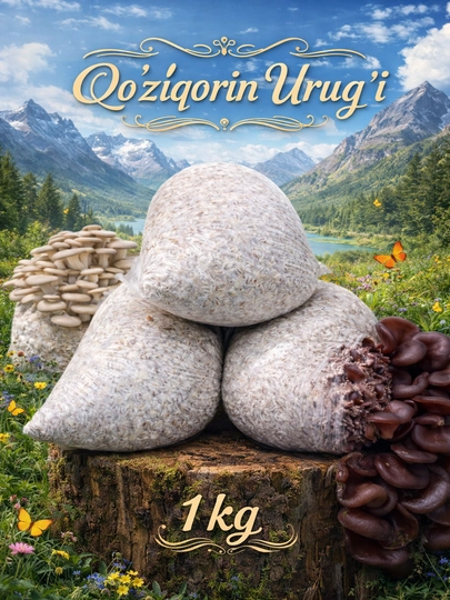 Мицелий грибов (зерновой), 1 кг — OMMA-HILOLAOPAURUGLARI-3D