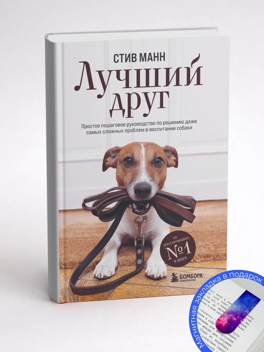 Стив Манн Лучший друг. Простое пошаговое руководство по решению
