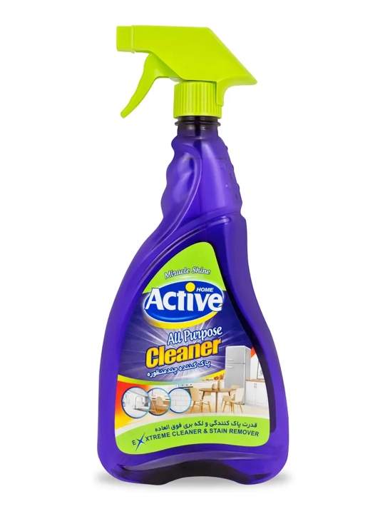 Чистящее средство Active Антижир, спрей для кухни, плит, духовок и вытяжек, 700 мл