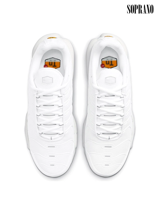 Erkaklar, ayollar va o'smirlar uchun Nike Air Max Plus TN krossovkalari, sport, 40-48