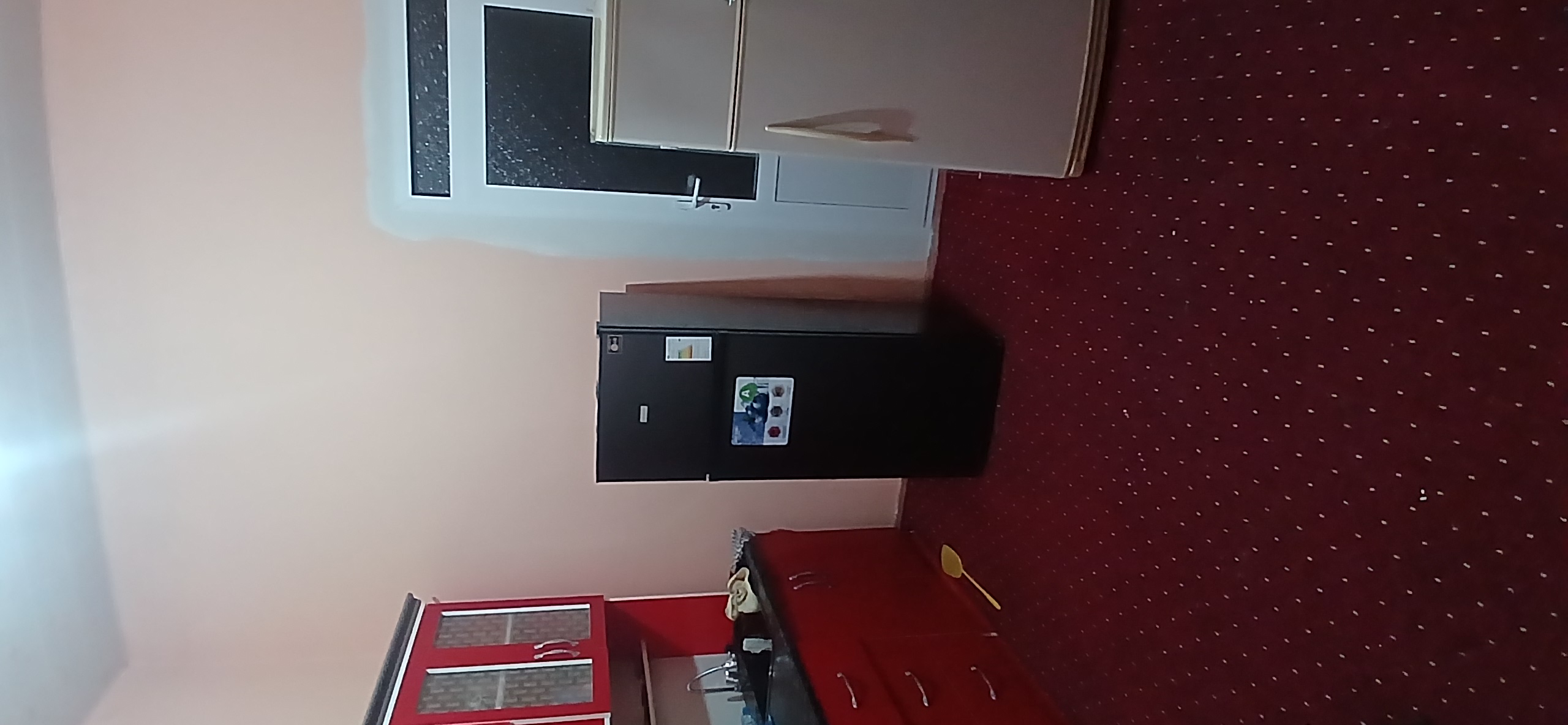 Холодильник Ferre BCD-275, 225 л, 2 камеры, компрессор LG, Defrost, 3 цвета