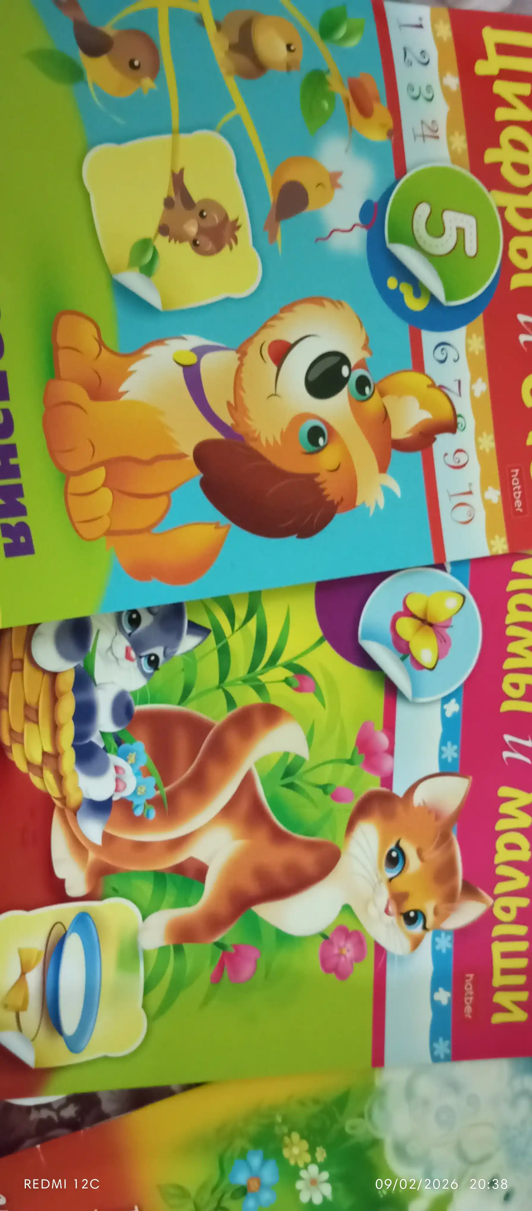 Nakleykali kitob, Pervie zadaniya, Tsifri i schet, A5 format, 8 varaq