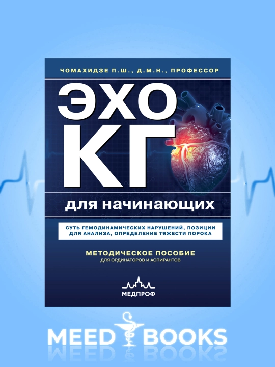 Эхокг Для Начинающих - 
