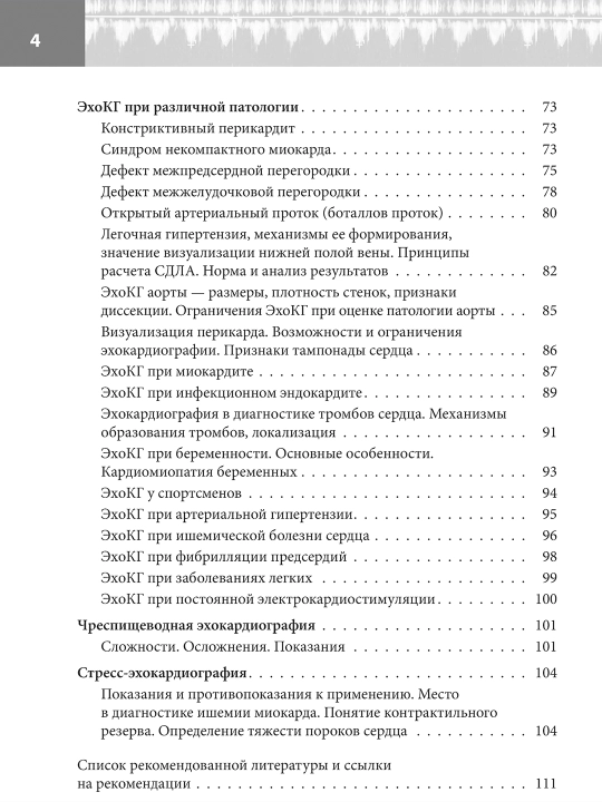 Эхокг Для Начинающих